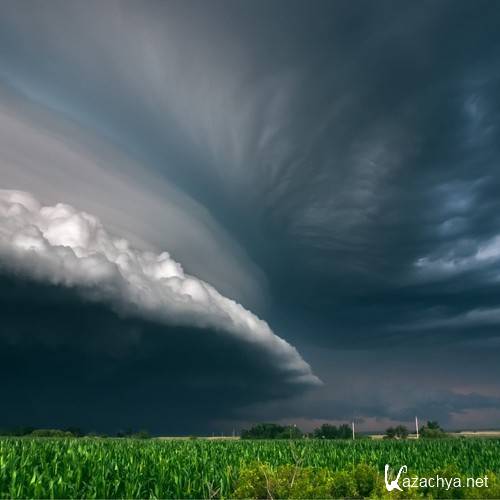 Trevor Nygaard - 3dektek 225 (2015-05-15) Trevor Nygaard - 3dektek 225 (2015-05-15)