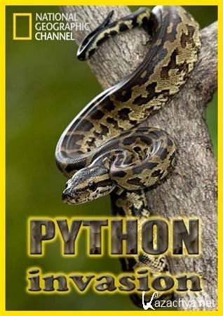    / Invasion Of The Giant Pythons: Florida With Nigel Marven (2009) HDTVRip (720p)