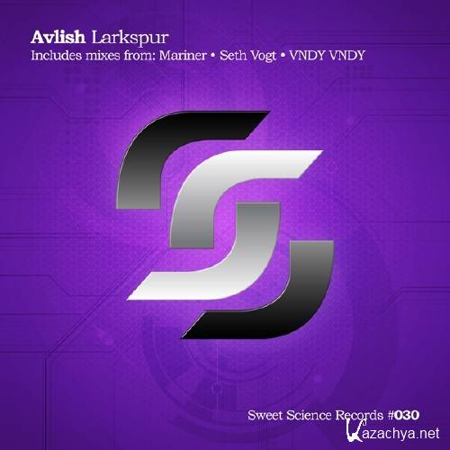 Avlish - Larkspur (Vndy Vndy Remix)