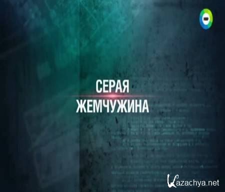 Секретные материалы 16. Серая жемчужина (2015) SATRip Секретные материалы 16. Серая жемчужина (2015) SATRip