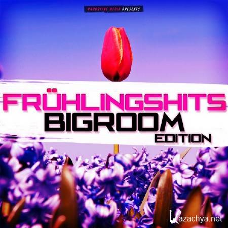 Fruhlingshits: Bigroom Edition (2015)