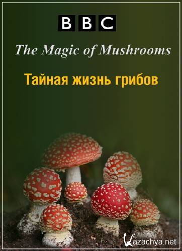 BBC:  .    / The Magic of Mushrooms (2014) HDTVRip (720p)