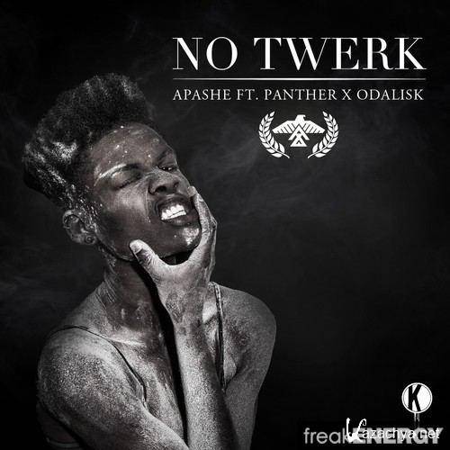 Apashe ft. Panther X Odalisk - No Twerk & Rifler (DJ Nike Mash-up)