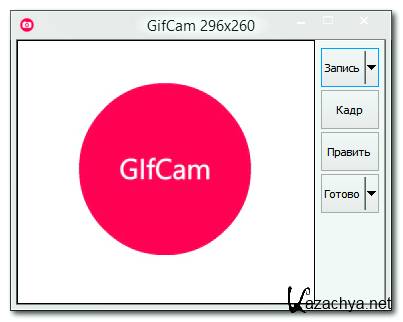 GifCam 5.0 Portable by DenSE85 [Ru]