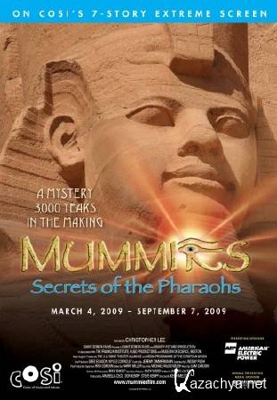 IMAX - :   / IMAX - Mummies: Secrets of the Pharaohs (2007) BDRip (720p)