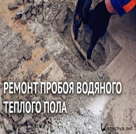 ������ ������ �������� ������� ���� (2015)