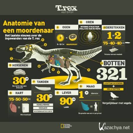 :  / T.Rex: Autopsy (2015) SATRip