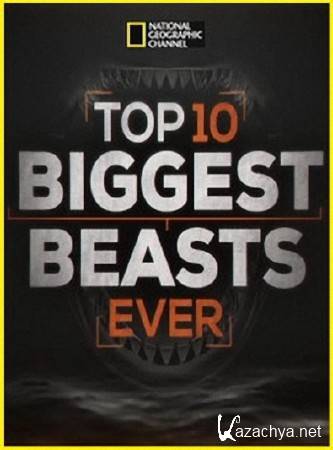  ���-10 ������������ / Top 10 Biggest Beasts Ever (2015) SATRip