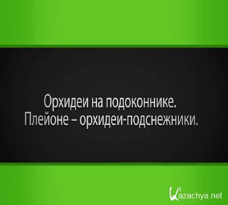 ������� �� ����������� ������� � ������� ����������� (2015)