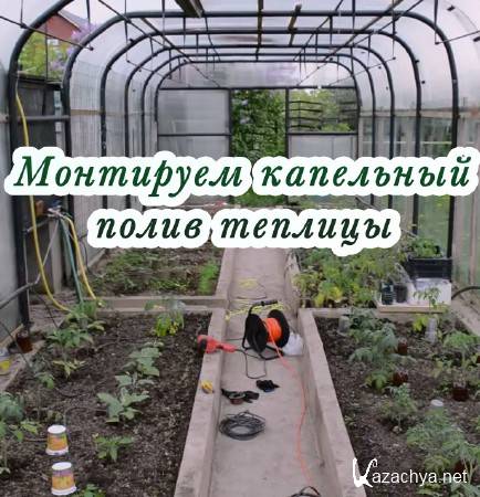 Монтируем капельный полив теплицы (2015) Монтируем капельный полив теплицы (2015)
