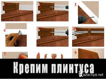 ������ �������� (2015)