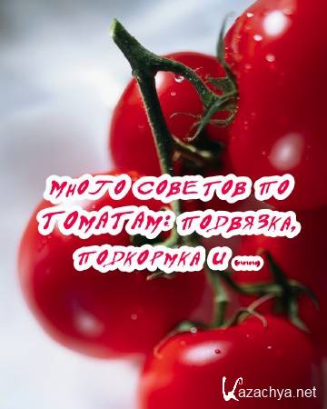 ����� ������� �� �������: ��������, ��������� � .... (2015)