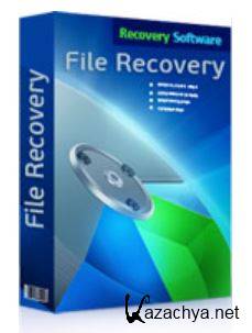 RS File Recovery 3.2 (2012)