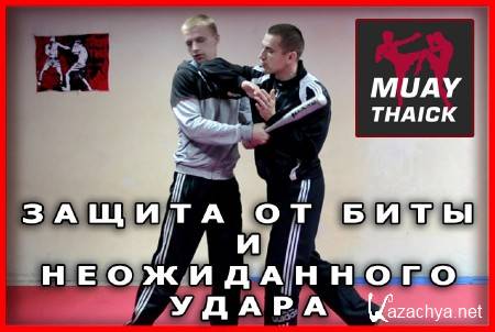 ������ �� ����, �����, ����� � ������������ ����� (2015) 