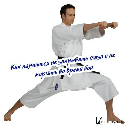 Как научиться не закрывать глаза и не моргать во время боя (2015) Как научиться не закрывать глаза и не моргать во время боя (2015)