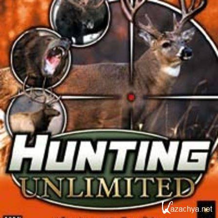 Hunting Unlimited (2001) PC