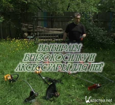 �������� ������������ � ���������� ��� �� (2015)