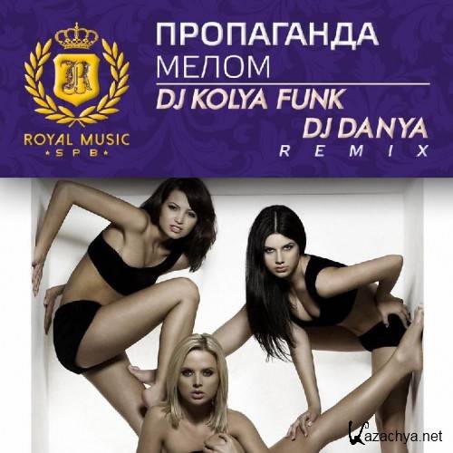 Пропаганда - Мелом (DJ Kolya Funk DJ Danya Radio Remix)