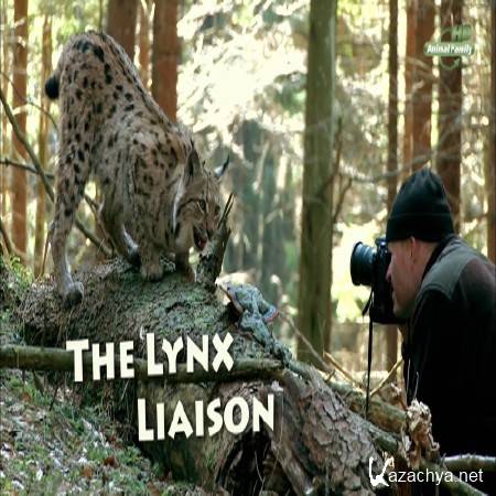   / The Lynx Liaison (2014) HDTVRip
