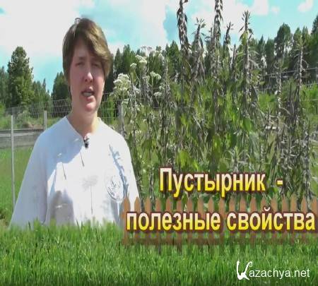 ��������� - �������� �������� (2015)