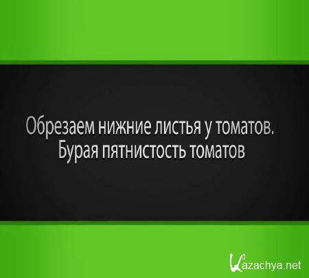 �������� ������ ������ � �������. ����� ����������� ������� (2015)