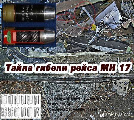    17 (2015) WEB-DL 720p