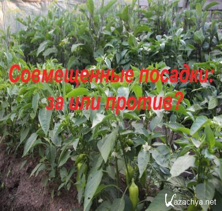 ����������� �������: �� ��� ������? (2015) 