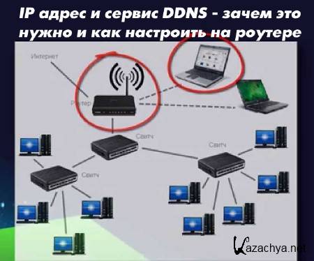 IP    DDNS -         (2015)