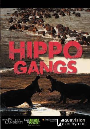 Стада Бегемотов / Hippo Gangs (2015) WEB-DL 720p Стада Бегемотов / Hippo Gangs (2015) WEB-DL 720p