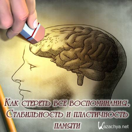 Как стереть все воспоминания. Стабильность и пластичность памяти (2015) Как стереть все воспоминания. Стабильность и пластичность памяти (2015)