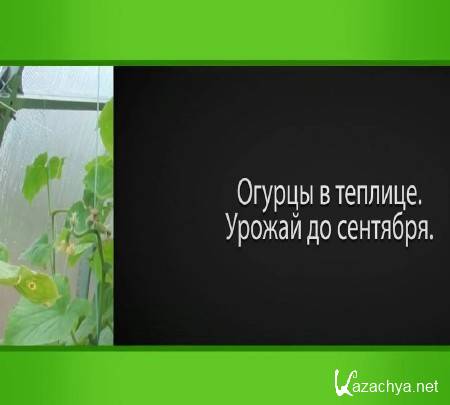 ������ � ������� ������ �� �������� (2015)