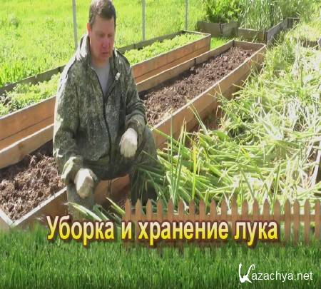 ������ � �������� ���� (2015)