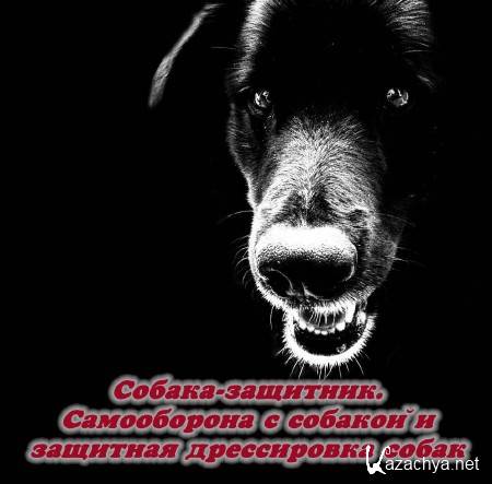 ������-��������. ����������� � ������� � �������� ����������� ����� (2015)