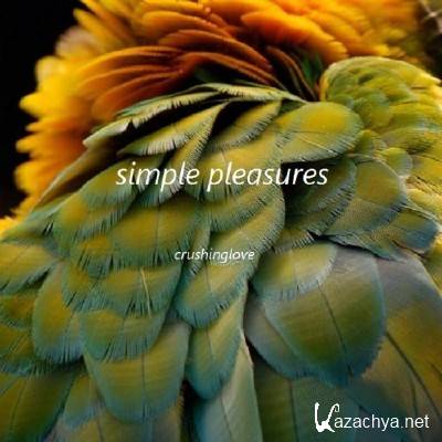 crushing love - Simple Pleasures (2015)