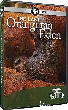    / The Last Orangutan Eden (2015) HDTVRip 720p