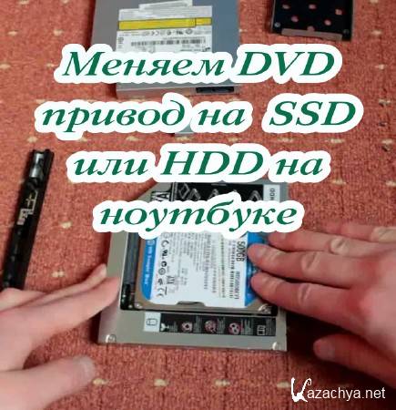  DVD    SSD  HDD   (2015)