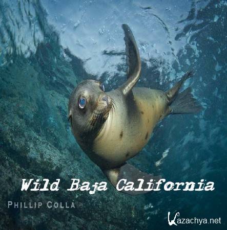    / Wild Baja California (2014) HDTVRip (720p)