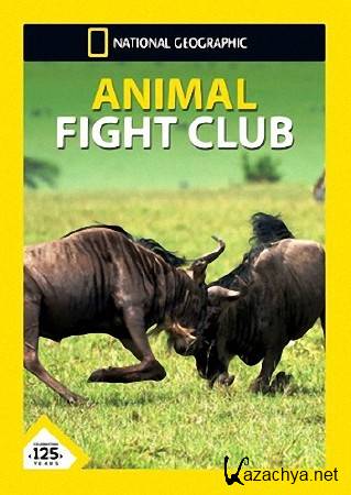    .    ? / Animal Fight Club (2015)  HDTVRip