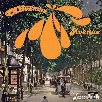 Strangers of Necessity - Tangerine Avenue (2015)