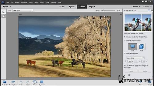 Lynda  Photoshop Elements 14 Essential Training