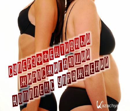 ���������������� ������������� �������� ���������� (2015)