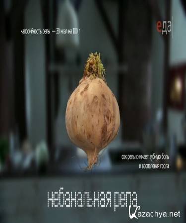 ������� � ����� (2015) IPTVRip