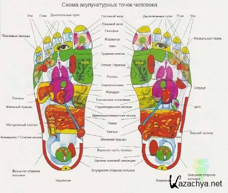 ������ ����������� �� ����� ����������� (2015) 