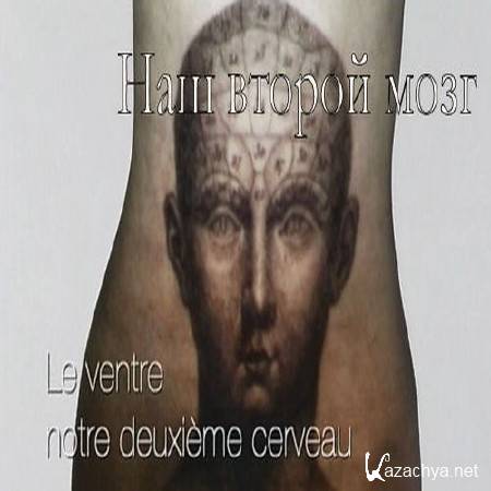    / Le ventre notre deuxieme cerveau (2013)  DVB-AVC