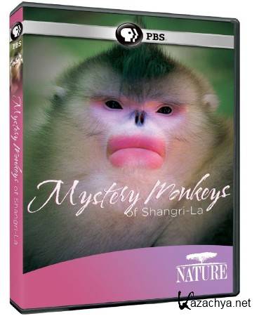   - / Mystery Monkeys of Shangri-La (2015) HDTVRip (720p)