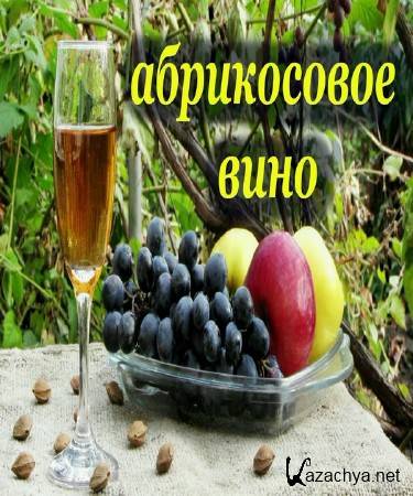 ������ ���� �� �������, ���������� � �������� �������� (2015)