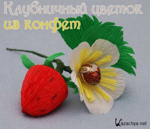  ���������� ������ �� ������ (2015) 