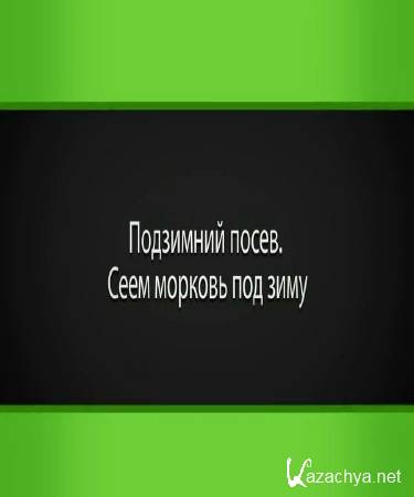 Подзимний посев. Сеем морковь под зиму (2015) Подзимний посев. Сеем морковь под зиму (2015)