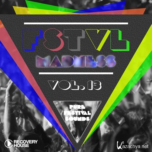 FSTVL Madness, Vol. 13 - Pure Festival Sounds (2015)