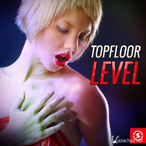 Topfloor Level (2015)